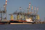 MSC Malin lag am 6.7.2013 bei herrlichem Foto Licht  am Container Kai in Bremerhaven.