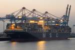 Das Containerschiff MSC London am Morgen des 10.09.16 in Bremerhaven  