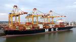 Das 299,99m lange Containerschiff MSC PALAK am 10.06.19 in Bremerhaven.