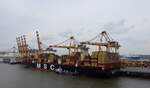 Das 366m lange Containerschiff MSC SOFIA am 24.05.25 in Bremerhaven.