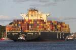 Containerfrachtschiff MSC TIANPING (IMO 9305489); Eigner/Betreiber: MSC; Datum: 23.09.2025; Aufnahmeort: Elbe/Hafen Hamburg, Deutschland.