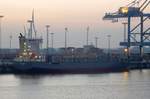 Das Containerschiff Neuenfelde am Morgen des 10.09.16 in Bremerhaven
