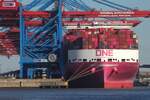 Containerfrachtschiff ONE INTELLEGENCE (IMO 9933121); Datum: 29.04.2026; Aufnahmeort: Elbe/Hafen Hamburg, Deutschland.