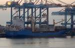Das Containerschiff Petkum am 10.09.16 in Bremerhaven