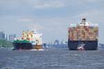 Schiffsbegegnung kurz vor dem Hamburger Hafen zwischen den beiden Containerschiffen MSC Ines rechts einlaufend und der Viesea links auslaufend.Aufgenommen am 25.05.10 vom Rüschpark Finkenwerder.