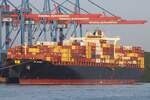 Containerfrachtschiff ZIM VIETNAM (IMO 9244922); Datum: 15.07.2026; Aufnahmeort: Elbe/Hafen Hamburg, Deutschland.