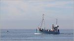 Die SE 110 HANSA wurde 2002 als Fischereifahrzeug abgemeldet. Hier ist sie am 24.08.2016 mit Fahrgästen vor der Westküste Bornholms unterwegs. SE ist das Fischereikennzeichen von Svaneke auf Bornholm, das aber heute wohl nicht mehr verwendet wird, da Bornholm zwischenzeitlich zu einer Regionskommune umgebildet wurde.