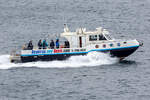 Seabird,, 13.06.2022, Ilse of Noss, Shetlandinseln