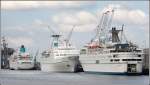 Am 14.09.2008 liegen (v.l.) die Kreuzfahrtschiffe AMADEA, MAXIM GORKIY und DELPHIN am Kai des Columbus Cruise Center Bremerhaven. Zwischen AMADEA und MAXIM GORKIY ist noch so viel Platz, dass dort noch die ALBATROS anlegen konnte.