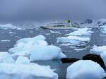 MS Hamburg am 7.1.2022 in der Admirality Bay/King George Island/Antarktische Halbinsel