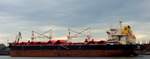 Der 199m lange Bulker CP TIANJIN am 07.03.19 ausgehend Swinemünde