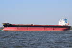 GOLDEN ICE , Bulk Carrier , IMO 9401362 , Baujahr 2008 , 225 × 32.28m , 18.04.2019 , Grünendeich