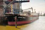 JOYOUS WORLD heit dieser chinesische Bulker, der am 5.Juni 2010 am hamburger Kalikai lag. Baujahr 1995, Lnge 226 m, 69.286 tdw Tragfhigkeit.