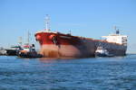 Am Mittag des 14.03.2020 waren in Warnemünde das Fischereischutzboot Seeadler,der Schlepper Bugsier 16 mit dem Massengutfrachter Summer Lady und FAIRPLAY XII vertreten.