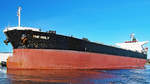 Bulk Carrier THE HOLY (IMO 9231303) am 3.4.2021 unweit Nordlandkai Lübeck/Vorwerker Hafen.