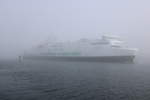 Sehr dichter Nebel herrschte am Mittag des 17.03.2021 in Warnemünde als die Scandlines Fähre BERLIN auch ihrem Rückweg von Gedser nach Rostock-Überseehafen war.