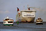 Das 200m lange Fährschiff MECKLENBURG VORPOMMERN am 06.10.21 eingehend Rostock