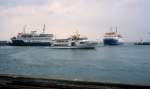 Im Hafen von Helsingør befinden sich am 5. Juni 1981 die Auto- und Passagierfähre Regula (links an der nördlichen Mole unweit vom Schloss Kronborg) und die kleine Fahrgastfähre Erasmus, ein sogenannter Sundbus. Rechts erreicht die Auto- und Passagierfähre Betula II die Einfahrt des Hafens. - Der kleine Sundbus gehörte zur norwegischen Moltzau-Reederei, während die schwedische Linjebuss- / LB-Reederei die Besitzerin der beiden grossen Fähren war. - Zwischen der dänischen Hafenstadt Helsingør und der schwedischen Hafenstadt Helsingborg gab es zu der Zeit einen regen Fährverkehr: Ausser den LB-Fähren und den Sundbussen bedienten auch die Eisenbahnfähren der DSB und SJ diese  Fährstrecke .