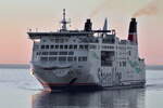 SKANE , Passagier/Ro-Ro Cargo Schiff, IMO 9133915 , Baujahr 1998 , 200 x 28 m , 29.04.2026 , Rostock-Warnem�nde , 