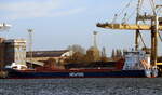 Das 127m lange Frachtschiff FRISIA OCEAN am 10.11.22 in Swinemünde