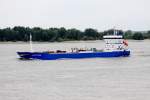 Neptunus, IMO 8821747, Elbe hhe Wedel, 22.07.2010