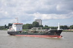 OIL/CHEMICAL TANKER Troy aufgenommen 03.08.2013 auf der Schelde in Antwerpen