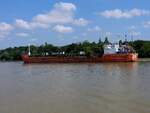 UNI-TRADER(IMO:9175169; L=129;B=16m; DWT:6623To; Bj.1999)ankert auf der Donau nächst Pehi; 230704