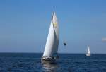 Segelboot  auf dem Stettiner Haff mit Graureiher.