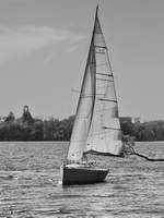 Ein Segelboot Ende April 2018 auf der Havel am Stadtrand von Berlin.