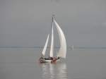 unbekannter Segler am 7.9.2014 auf dem Ijsselmeer vor Enkhuizen