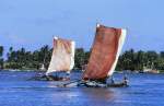 Traditionelle Segelboote in Negombo, Sri Lanka. Aufnahme: Januar 1989 (Bild vom Dia).