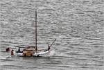 Die 1959 gebaute Lemster Aak THEEPOT ist auf der Weser Höhe Bremerhaven unterwegs. 28,06.2020