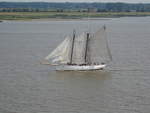 Lotsenschoner Elbe No.5 auf der Elbe im August 2018