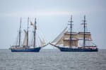 Dreimast-Toppsegelschoner SANTA BARBARA ANNA und  Brigg ROALD AMUNDSEN fahren  bei der Ausfahrt zur Sassnitz Sail aneinander vorbei.