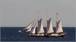 Die 1928 gebaute ALBERT JOHANNES (IMO 5154959) passiert im Abendlicht des 23.08.2016 Sandvig auf Bornholm. Sie ist 46 m lang, 6 m breit und verfügt über 26 Kojen für Passagiere. Heimathafen ist Vlieland (Niederlande).