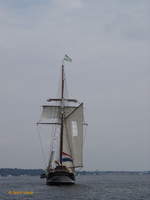 OOSTERSCHELDE am 21.6.2006, Regattabegleitschiff auf der Kieler Förde /
Ex-Namen: FUGLEN II, SYLVAN  /
Dreimast-Toppsegelschoner / Lüa 50 m, B 7,5 m, Tg  m / Segelfläche: 891 m² / gebaut 1917 in Zwartsluis, NL / nach erfolgter Restaurierung 1992 wieder in Dienst gestellt / Heimathafen: Rotterdam, Flagge: NL / 1996 bis 1998 Weltumsegelung /
