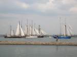 Einlaufen nach der Ausfahrt anlässlich der Hanse Sail 2006. Der  weiße Schwan  in der Mitte ist die J.R. Tolkin
