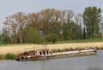 Wrack - unbekannt - | Stadt Usedom | Peenestrom | Mai 2020