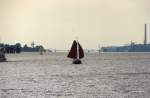 Die Elbe westlich von Hamburg.