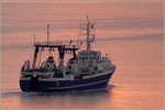 Die KL 759 NIDA (IMO 8707745) aus Klaipeda (Litauen) im vom Abendrot verfärbten Wasser der Weser. 26.07.2016