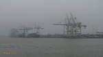 Hamburg am 11.11.2020: Elbe, Blick auf das im Nebel liegende Container Terminal Tollerort /