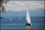 Sommerlaune auf dem Starnberger See.