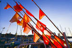 Bojenflaggen im Flensburger Fischereihafen am Ostufer der Innenförde.