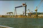 Kabelkrananlage der ehem. Warnowwerft und im Vordergrund der Bockkran der Kvaener Werft in Rostock Warnemünde am 30.06.1995