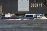 Hafenbarkasse HANNA ABICHT (ENI 04812560); Eigner/Betreiber: Reederei Abicht; Datum: 08.05.2026; Aufnahmeort: Elbe/Hafen Hamburg, Deutschland.