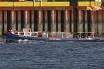 Hafenbarkasse NORDSEE VII (ENI 05105140); Eigner/Betreiber: Kapit�n Pr�sse; Datum: 13.10.2025; Aufnahmeort: Elbe/Hafen Hamburg, Deutschland.