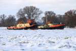 Polnische Eisbrecher Dzik & Wilk im Einsatz auf der Oder bei Güstebieser Loose am 21.02.2010