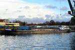 Am Ufer der Havel lag am 16.01.2018 das Kranschiff Carrera (04032730 , 48 x 7m) der Fa.Hülskens.