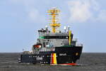 SEEFALKE , Fishing Support Vessel,  IMO 9421233 , Baujahr 2008 , 72 x 12 m , Cuxhaven , Alte Liebe , 30.10.2025 ,