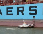 Lotse 3 (04806940 , 16,13 x 4,53m) brachte am 17.06.2016 den Hafenlotsen zur Maersk Edmonton (IMO 9458030).